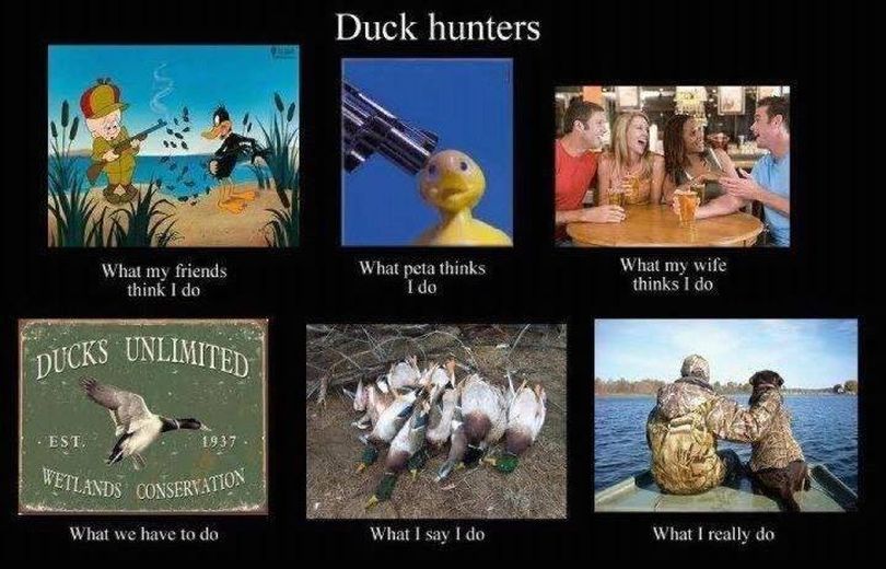 Duck hunting poster.