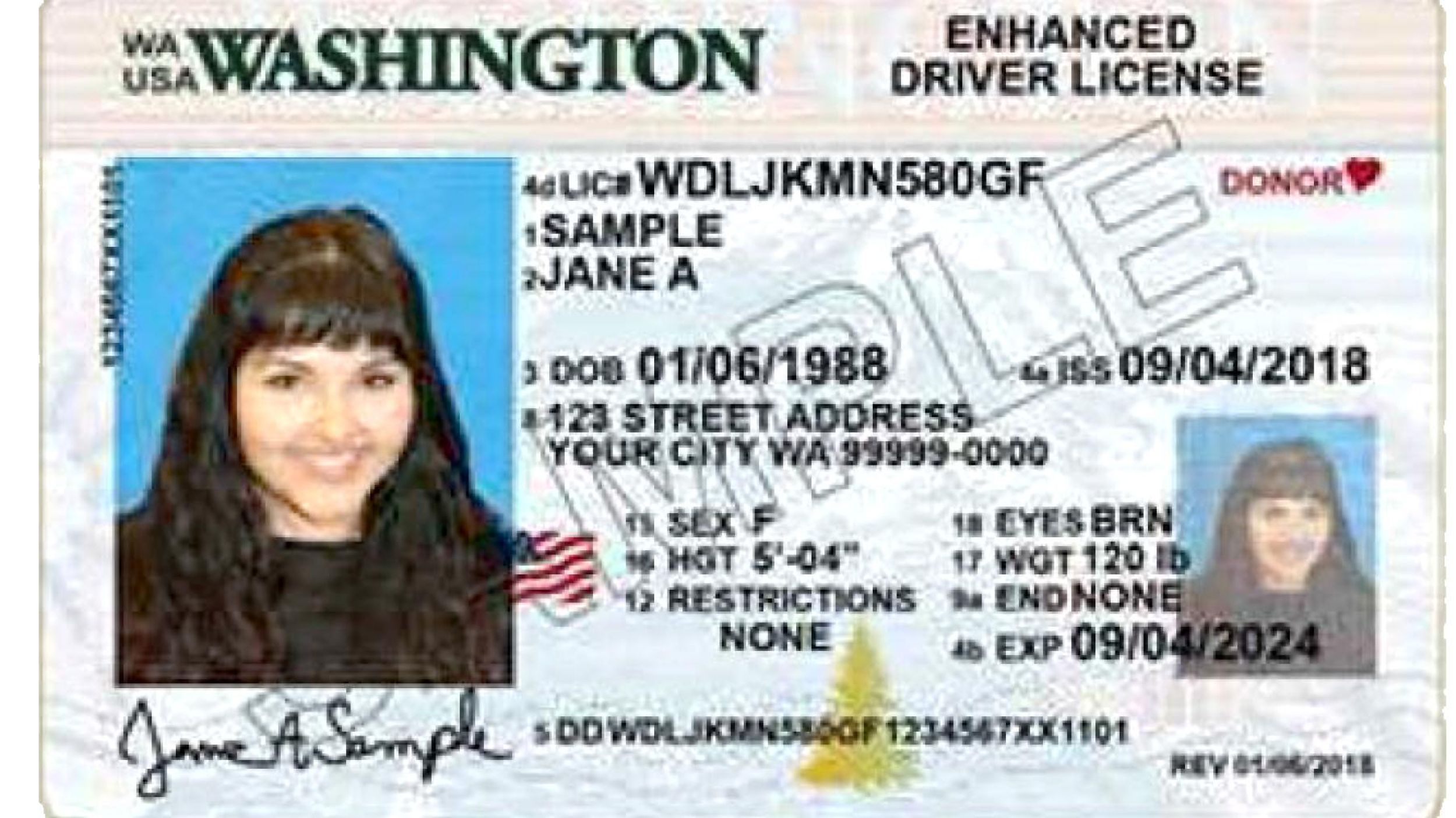 Major changes coming to Wash. state driver's licenses on Sunday