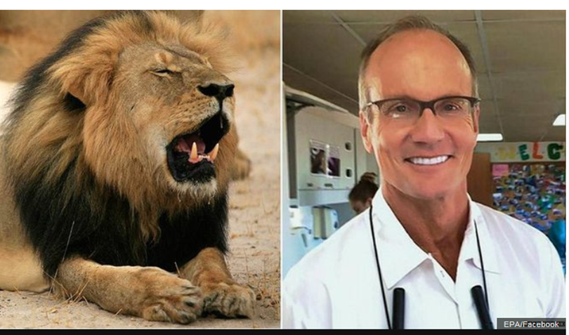 Trophy hunter Walter Palmer set off an international storm of controversy by killing Cecil the lion.