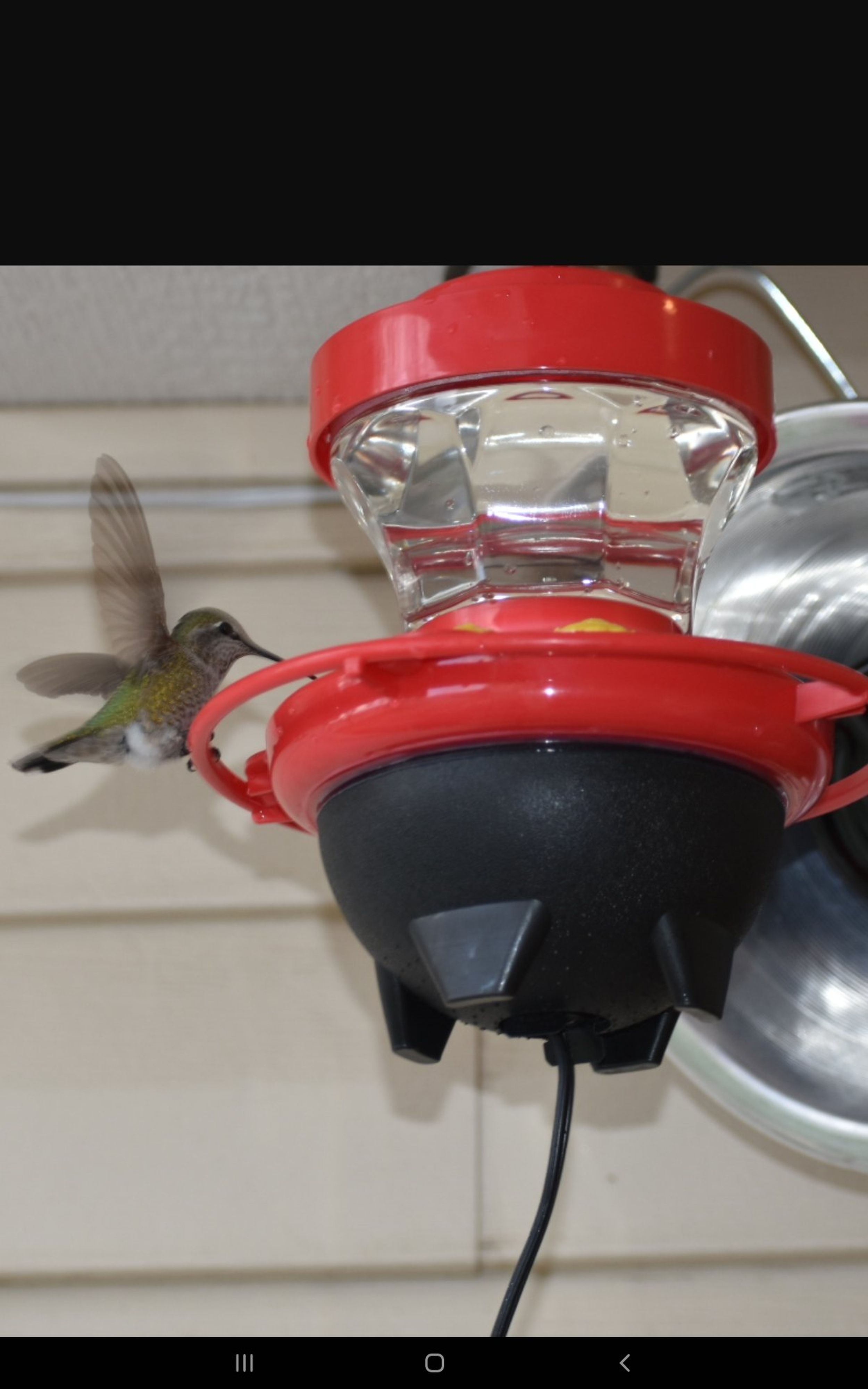 Hummingbird Feeder Heater for Outdoors, Heated Hummingbird Feeders