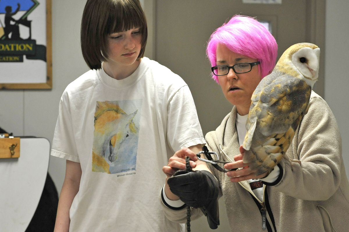 Rina Clark, right, a West Valley Outdoor Learning Center raptor volunteer, introduces Ava McLeod to Willie the barn owl, Friday. (Dan Pelle)