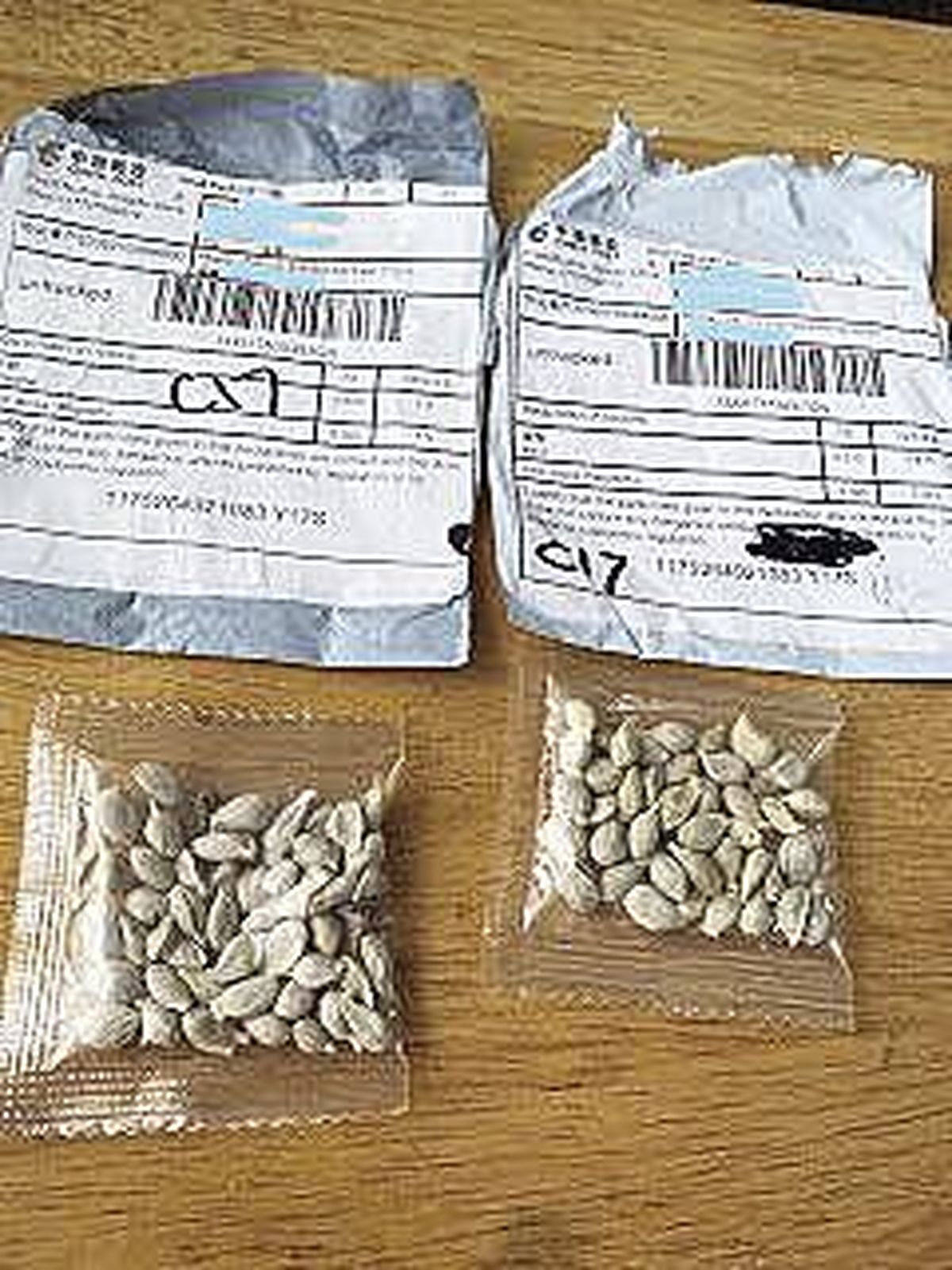 People who receive unsolicited seed packets are asked to mail them to the USDA Animal and Plant Health Inspection Service.  (USDA)