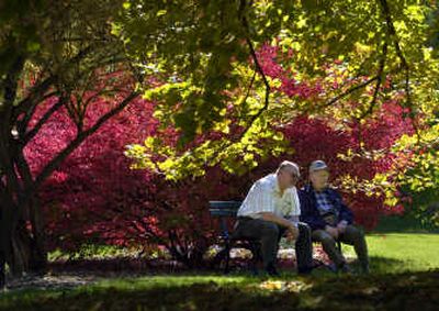 
Dean Evans, left, has lived in Spokane since 1982 but has never visited Spokane's Finch Arboretum. On Tuesday he brought his uncle Clancy Evens to the park to take in the afternoon color before Clancy caught a plane back to his home in Glendale, Calif. 
 (Photos by Dan Pelle / The Spokesman-Review)
