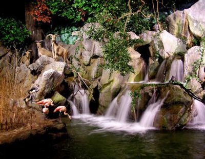 
Lakeland Company Inc. created this display for a wildlife museum in Salina, Kan.Photo courtesy of Lakeland Company Inc.
 (Photo courtesy of Lakeland Company Inc. / The Spokesman-Review)