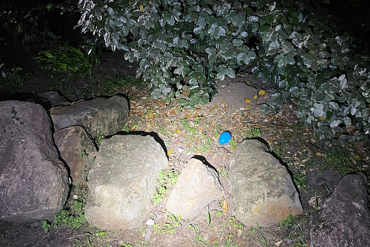 Four of the five plastic eggs were recovered by police. A man and his granddaughter discovered the fifth egg in a park the day after Easter and took it to the police station, according to police. Nicholson has four warrants out for his arrest in connection with the delivery of marijuana, police said. (Handout/Lufkin Police Department/TNS)
