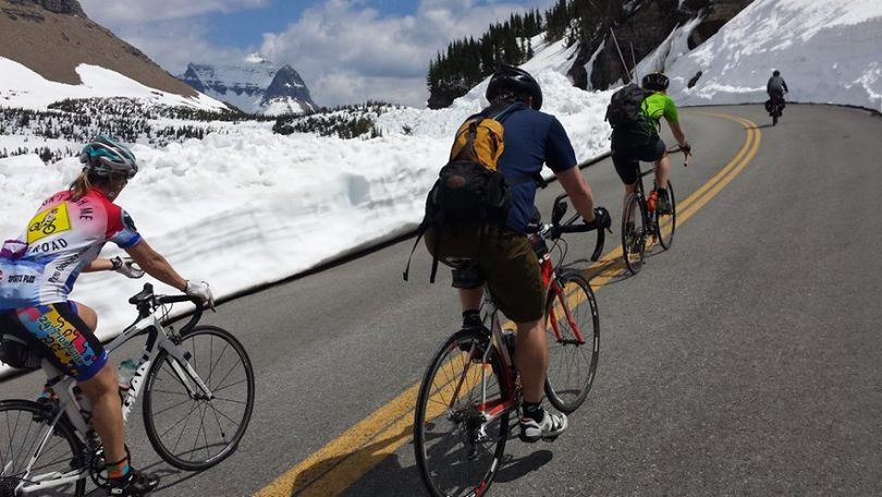Bicyclists pedal up Glacier National Park's Going to the Sun Road during Memorial Day weekend.  Bicyclists owned the road, which had just be cleared of snow to Logan Pass weeks earlier than normal but was not yet open to motor vehicles. (Jim Mellen)