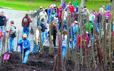 
 Folks gathered to collect their free trees during last year's annual tree giveaway in Post Falls. Three trees per family will be given away this year on April 7. 
 (Photo provided by Post Falls Parks and Recreation Department / The Spokesman-Review)