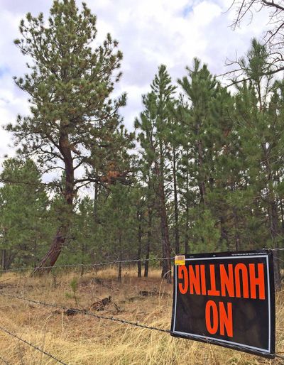 Several days alone in the woods can result in the mind wandering to some interesting places, but there are sometimes physical signs of other minds wandering, too. (Courtesy of Brett French/Billings Gazette)
