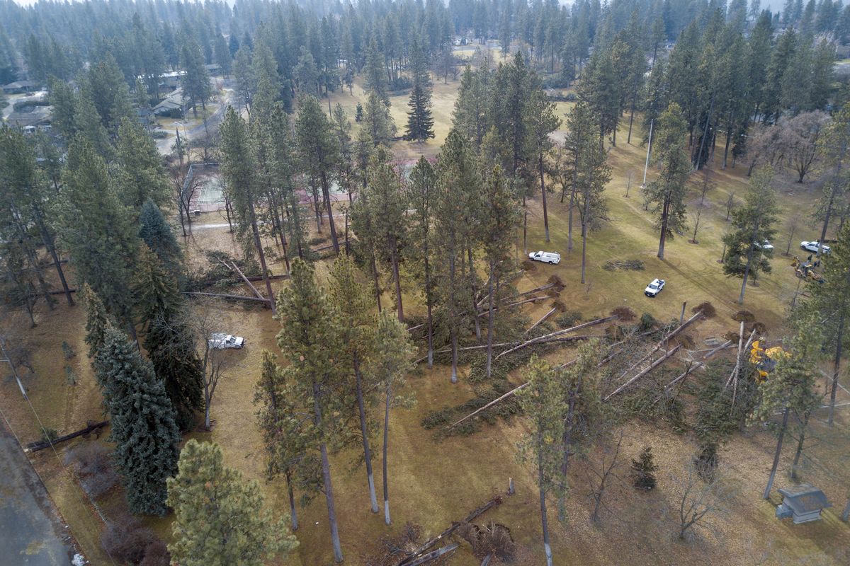 Crews work to cut up dozens of trees that were downed by the recent windstorm and the damage is seen near the playground in the center of Comstock Park in south Spokane Wednesday, Jan. 20, 2021. The falling trees damaged fences, play areas and other structures as they came down.  (Jesse Tinsley/The Spokesman-Review)