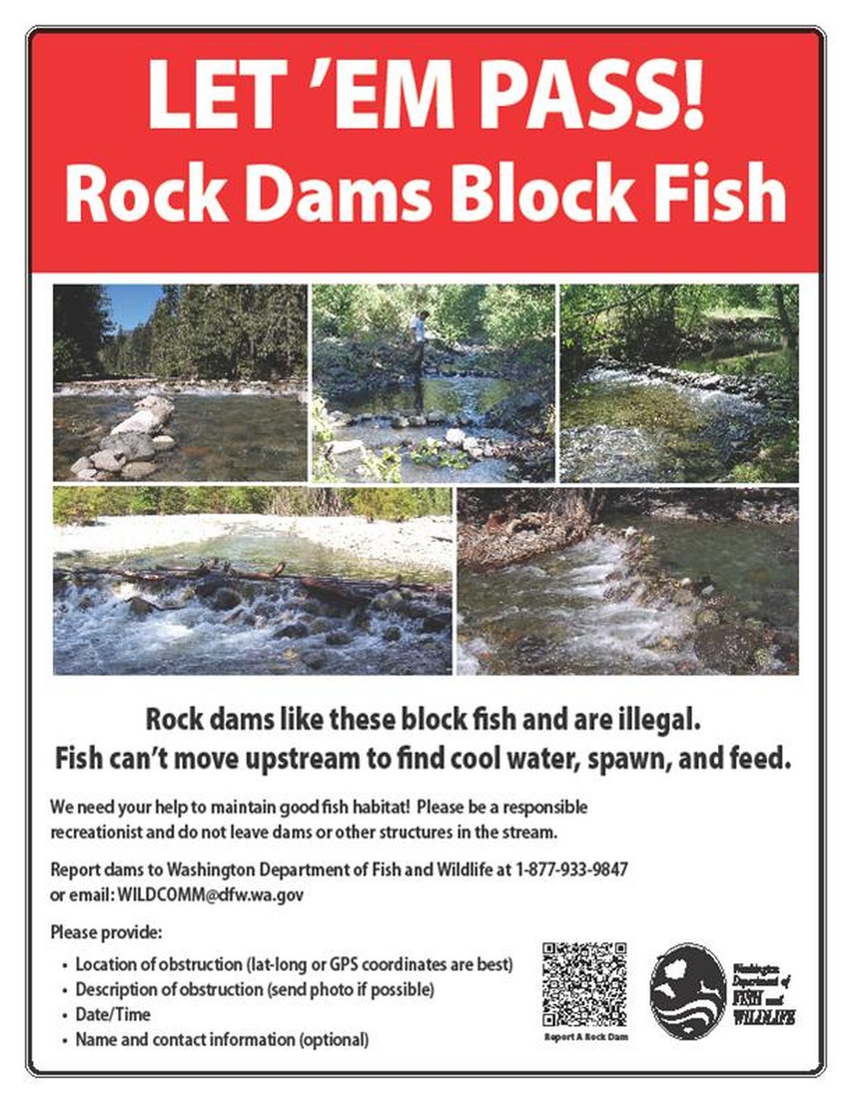 Recreational dam builders block fish passage The SpokesmanReview