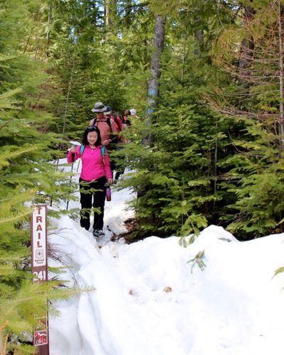 In the first week of April, snow still covers the Marie Creek Trail 241 north of Lake Coeur d'Alene's Wolf Lodge Bay. (Natalia Ruiz)
