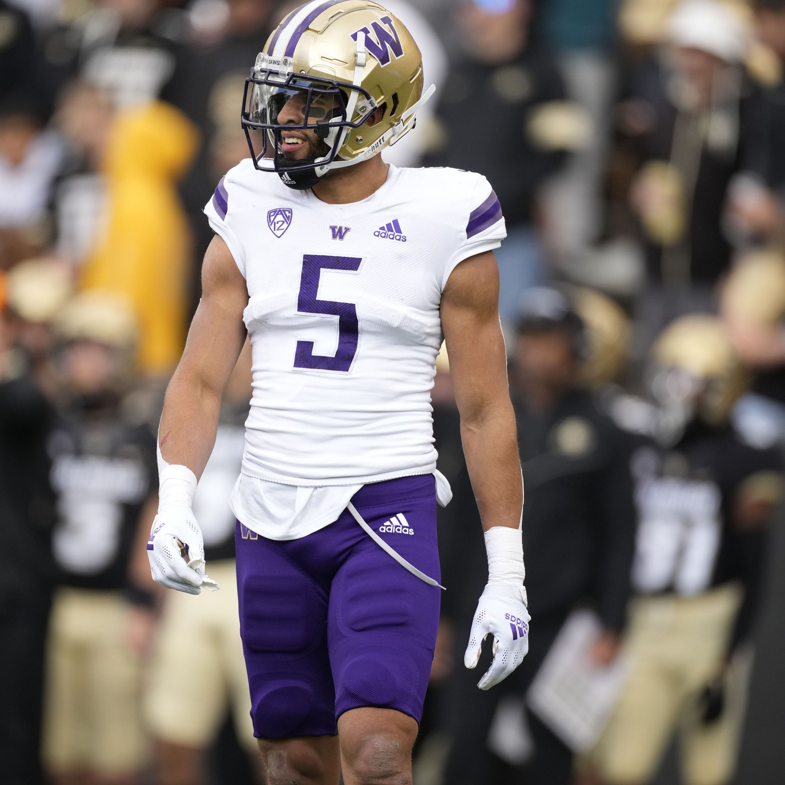 Washington Football Spring Position Breakdown: Defensive Line - UW Dawg  Pound