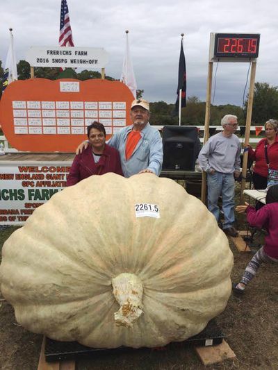 In this Oct. 8 photo provided by Ron Wallace, Richard and Catherine Wallace stand with a 2,261.5-pound pumpkin that Richard grew to set the North American giant pumpkin record at the Frerichs Farm Pumpkin Weigh Off in Warren, R.I. (Ron Wallace / Associated Press)