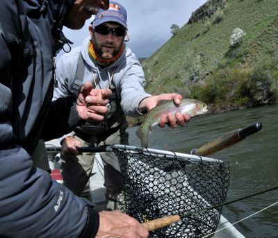 Stefan Woodruff, a fly fishing guide with Ellensburg Angler, releases a rainbow trout for David Moershel, while drifting the Yakima River. (Rich Landers)