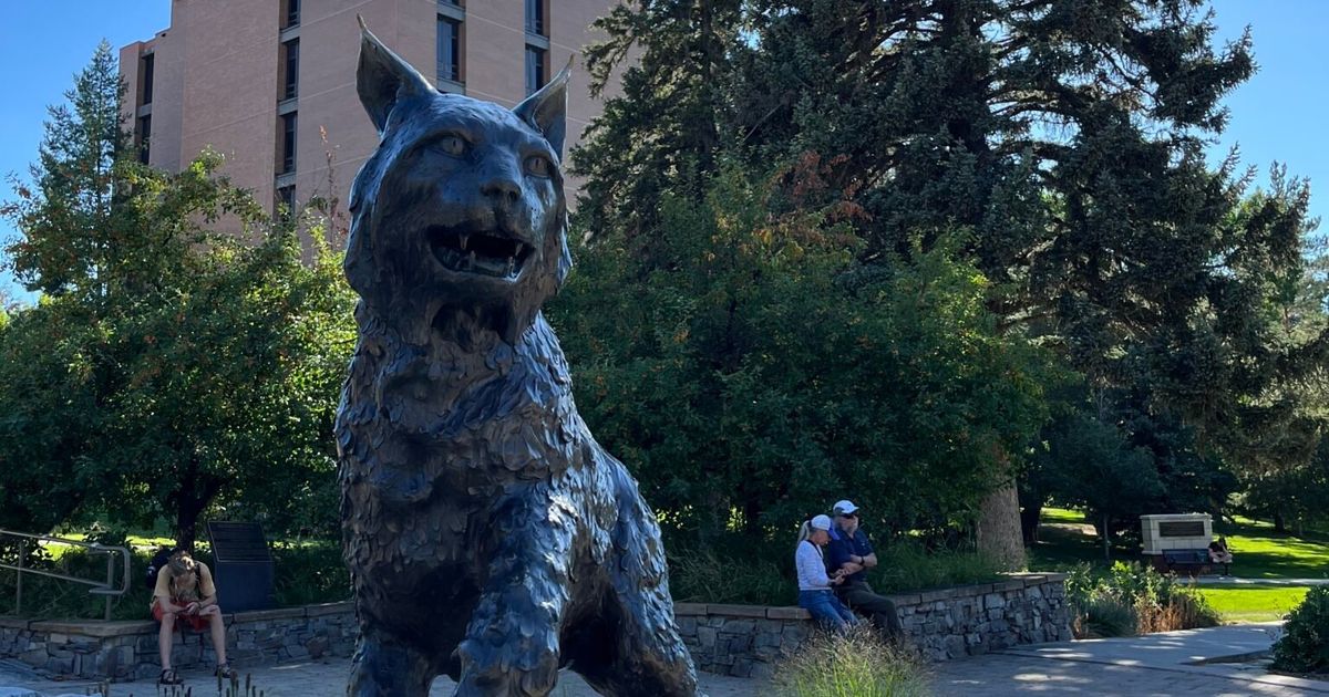 Montana State University Doesn’T Owe Students Tuition From Covid-19 ...