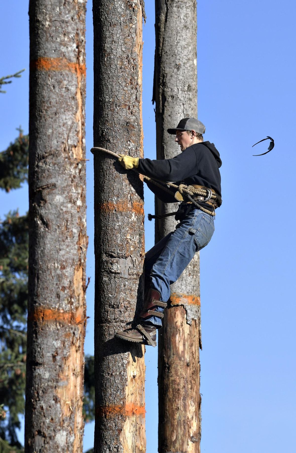 Mason Hiteshaw, 15, of Scio, Ore., loses his sunglasses while climbing a spar pole during the Scio Forestry Competition on Thursday Oct. 11, 2018 in Scio, Ore. (Mark Ylen / Albany (Ore.) Democrat-Herald)