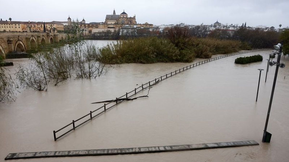The Roman bridge closed to pedestrians due to the increased flooding of the Guadalquivir River as it passes through it, during heavy rains, as storm Marta hits parts of Spain on Saturday, in Cordoba.   (Reuters )