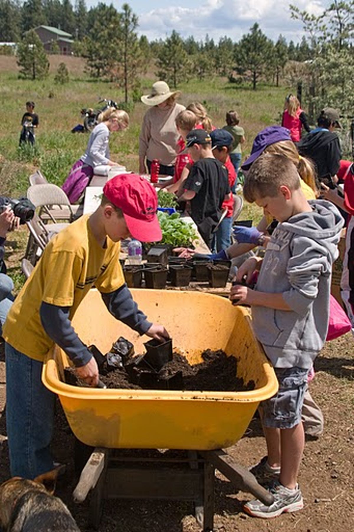 Students from St. George work at the PEACH Farm School. In addition to eight-month paid positions available for local youth, the farm near Cheney is a good spot for hands-on field trips.  (Courtesy PEACH)