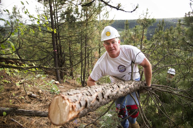 John Schram, a volunteer with the Friends of the High Drive Bluff, helps haul a fresh-cut pine tree up the bluff on June 14. The South Hill bluff has become a popular hiking spot. (Colin Mulvany)