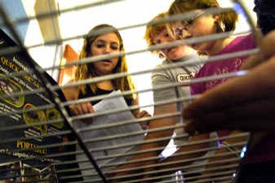 
West Valley City School students from left Kelsey Gruis, 12, Mark Leber, 13, and Angel Olmstead, 11, assemble a portable grill for the Harvest Fest auction that hopes to raise $25,000. 