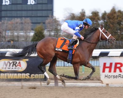 Alpha will race in the Wood Memorial on April 7. (Associated Press)
