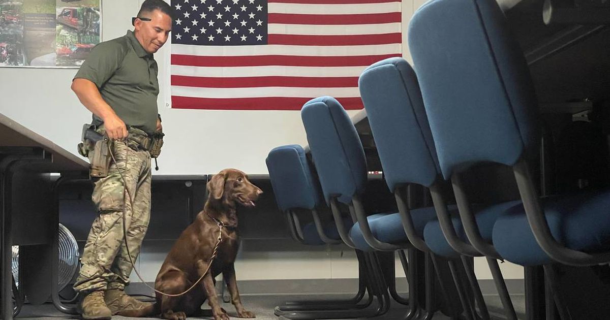 Newest Hanford site security officers have 4 legs. Here's what they'll ...