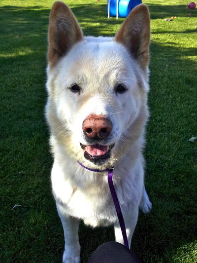 <!-- Feature creature  -->