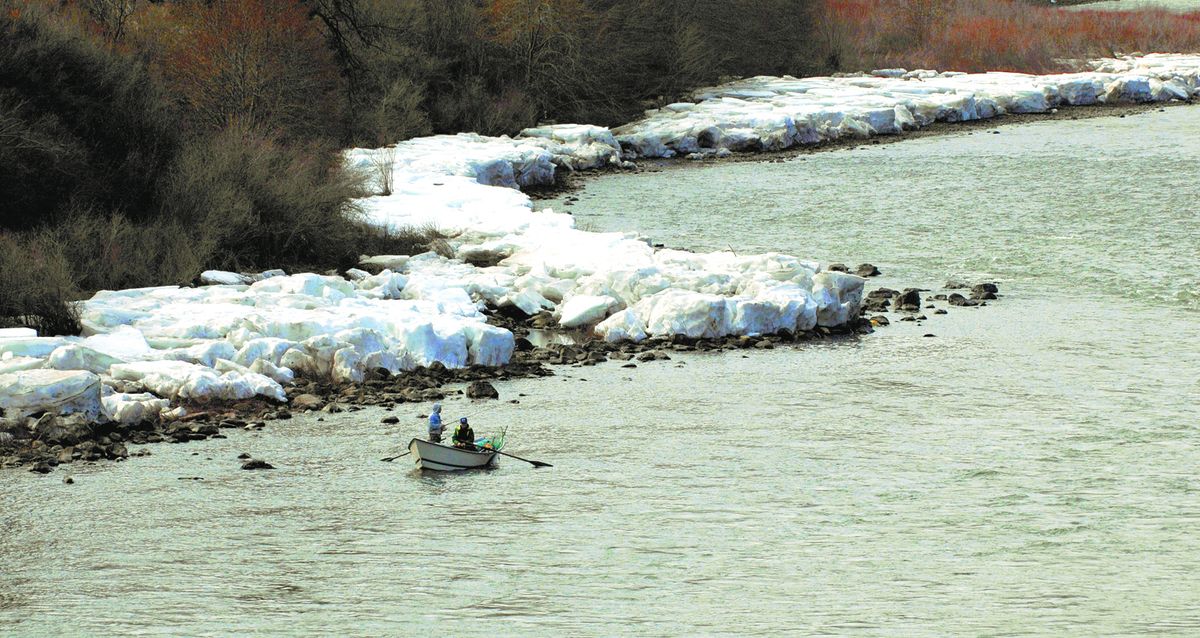 Steelhead fishermen drift down the Grand Ronde River upstream from Highway 129 on Feb. 2, 2010. Even though ice still lines the banks in some areas along the river, steelhead have been making a spring-like surge and fishing has been good, anglers say. (Steve Hanks / Lewiston Tribune)