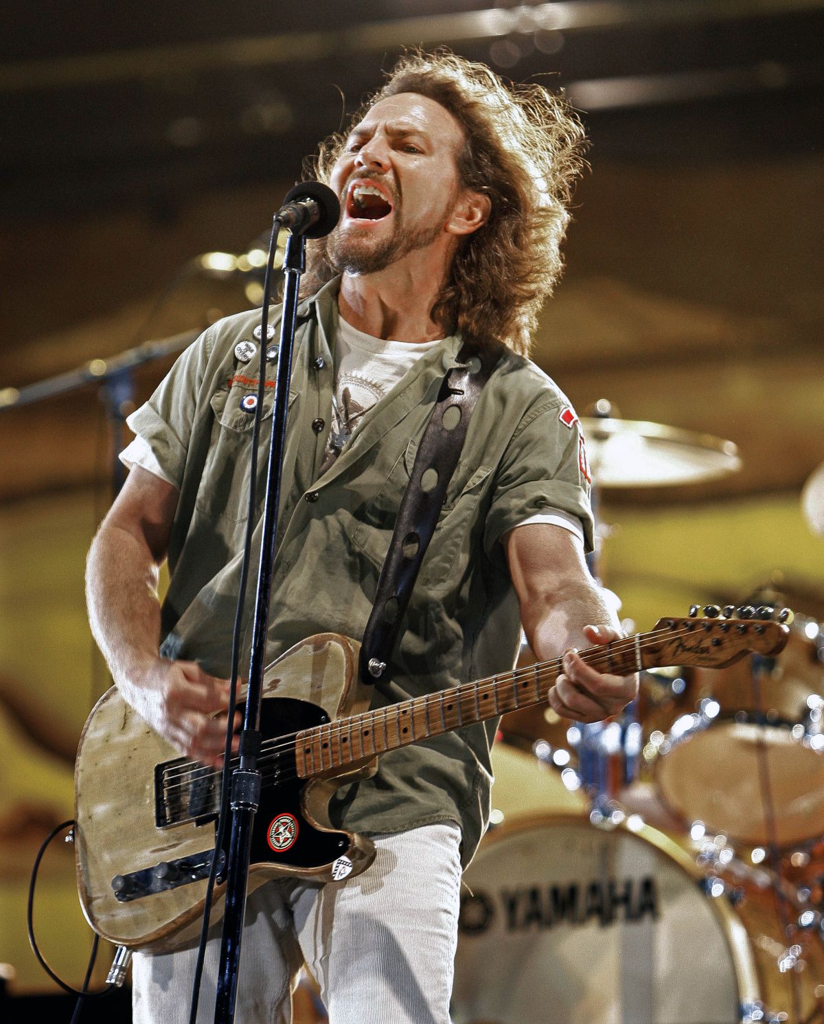 Vedder