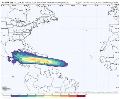 The European model simulates tropical storm probabilities in the coming week to 10 days.  (WeatherBell)