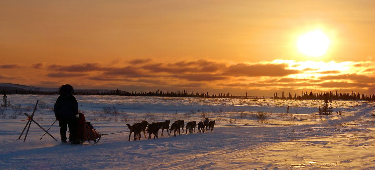 “The historic trail is interesting in itself, but it’s 100 times more interesting with dog teams on it,” said snowmobiler Bob Jones. “I’m fascinated by what the mushers do.”