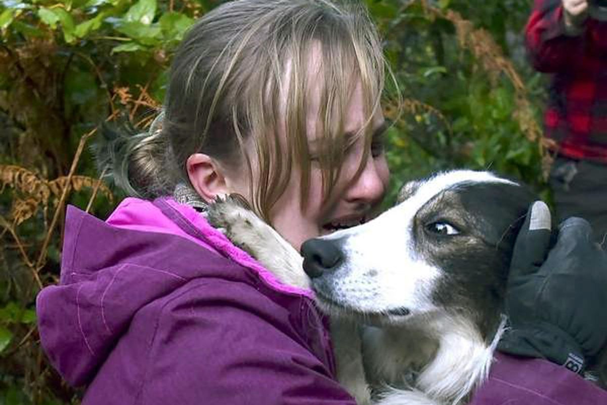 In this Tuesday, Dec. 26, 2017, photo, Sarah Stremming has a tearful reunion with her dog, Felix, after he was rescued from a precipice north of Indian Beach in Ecola State Park in Cannon Beach, Ore. Felix, a 2-year-old border collie, was rescued unharmed from a precipice 60 feet from the crest of the Clatsop Loop trail by a Seaside rope and rescue team. (Colin Murphey / Daily Astorian)