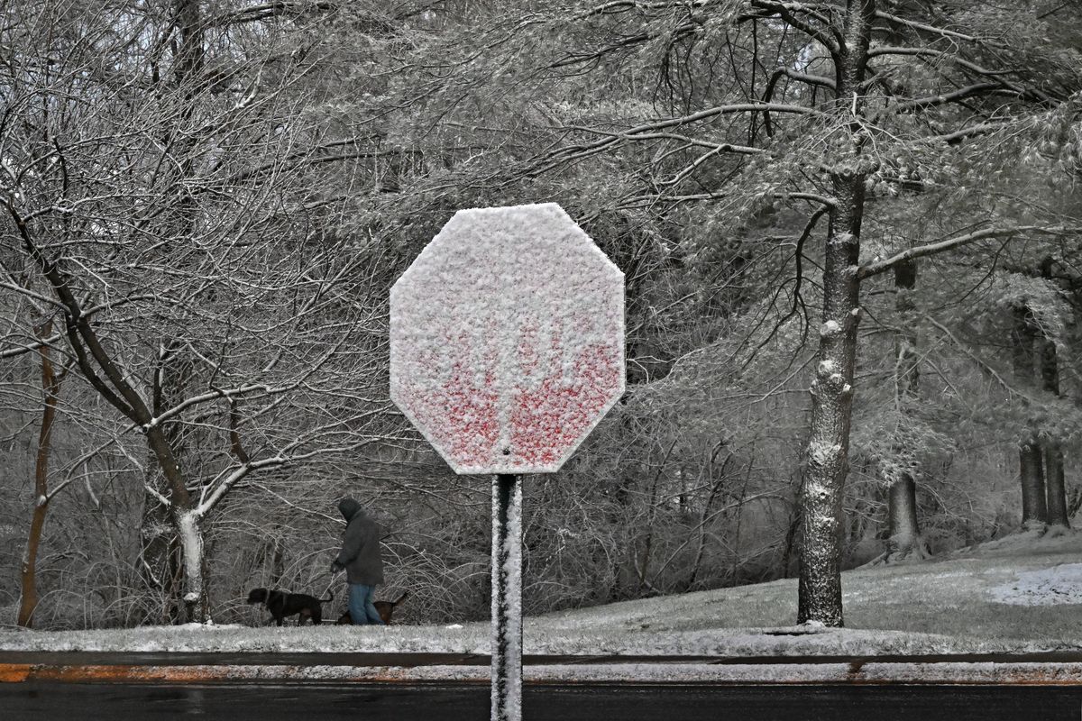 A light amount of snow accumulation that fell in the afternoon served as a picturesque backdrop for a dog walker on Streamside Drive in Gaithersburg, Maryland, on Friday. More snow is expected in the next few days. MUST CREDIT: Michael S. Williamson/The Washington Post  (Michael S. Williamson/The Washington Post)