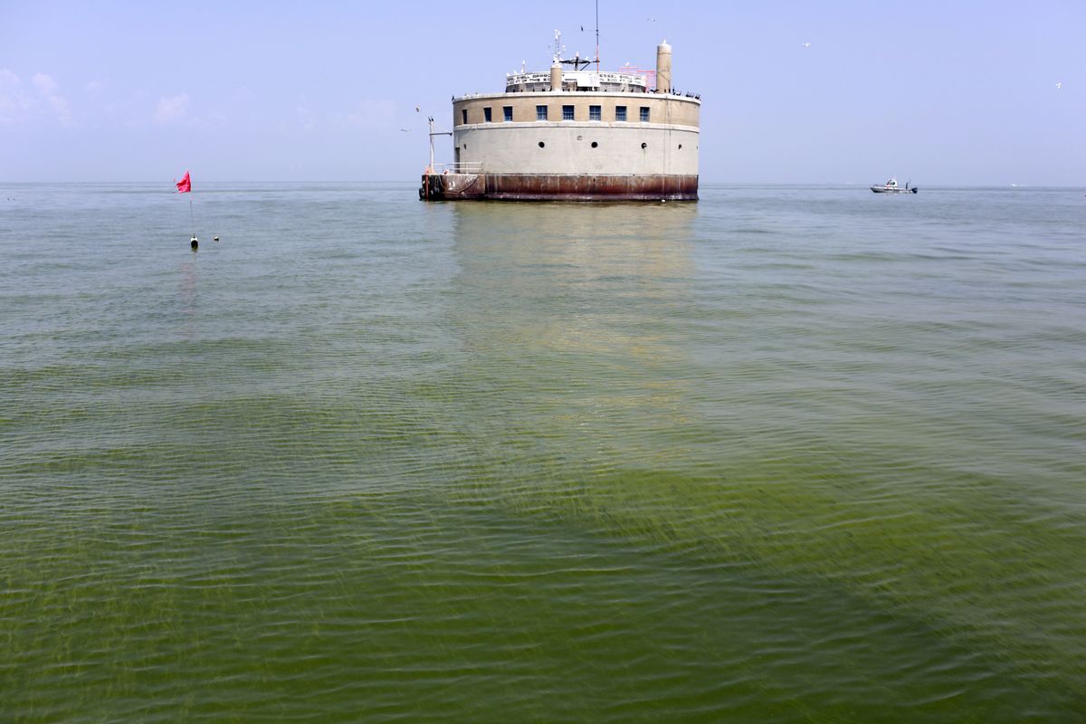 The Toledo water intake crib is surrounded by algae Sunday in Lake Erie, about 2.5 miles off the shore of Curtice, Ohio. More tests are needed to ensure that toxins are out of Toledo’s water supply, the mayor said Sunday. (Associated Press)