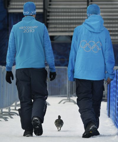 A duck accompanies Olympic staff members walking at the ski jumping venue for the Vancouver 2010 Olympics in Whistler, B.C., on Sunday.  (Associated Press)