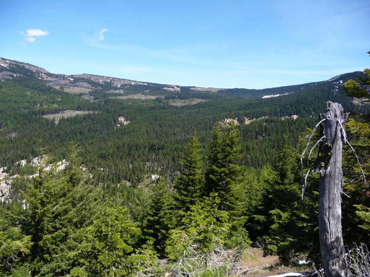The Rock Creek area purchased by the Rocky Mountain Elk Foundation and The Nature Conservancy on the east slope of the Cascades near Naches has a wide range of habitats all the way up to alpine ridges. The 2,675 acres acquired in June is the first of three phases of what will ultimately transfer more than 10,000 acres from Plum Creek Timber Co. to the Washington Department of Fish and Wildlife. The area is north of the Naches River and northwest of the town of Naches and is reached by the Bald Mountain, Rock Creek and Milk Lake roads. It will be managed as part of the Oak Creek Wildlife Area. Courtesy of Rance Block (Courtesy of Rance Block / The Spokesman-Review)