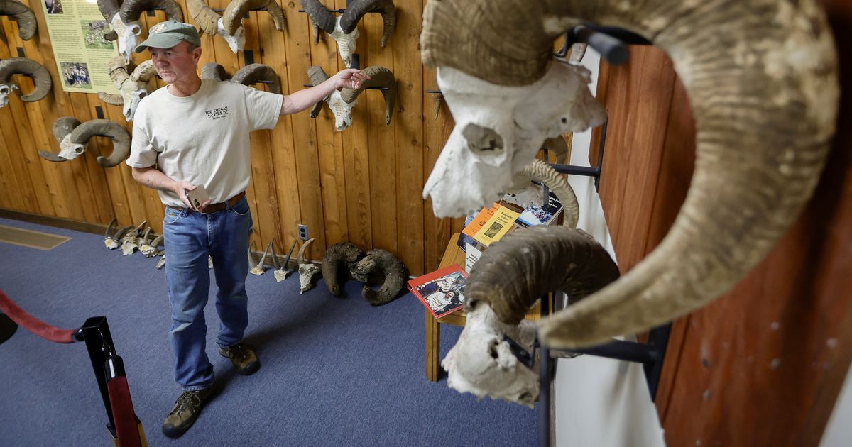 'They're Idaho horns': The cowboys, hunters and conservationists behind Lewiston's bighorn collection