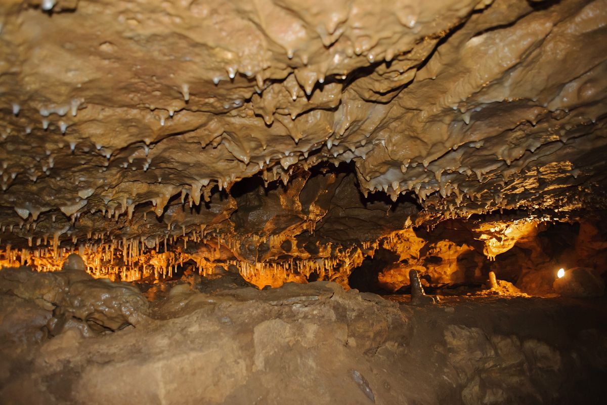Crystals are illuminated by light in Sequoia National Park’s Crystal Cave. (Iryna Kutsyna/Dreamstime/TNS)