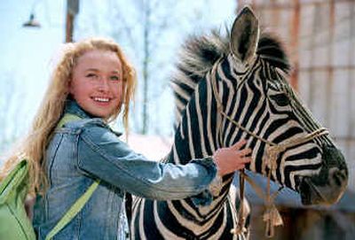 
Hayden Panettiere stars as a jockey and Frankie Muniz voices the zebra Stripes in 