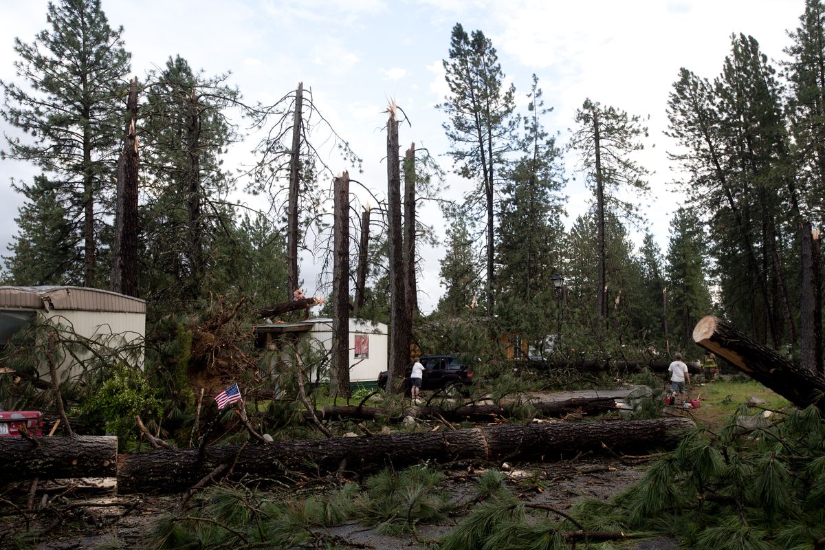 Riverside Village is seen after a windstorm on Wednesday in Chattaroy. (Tyler Tjomsland)
