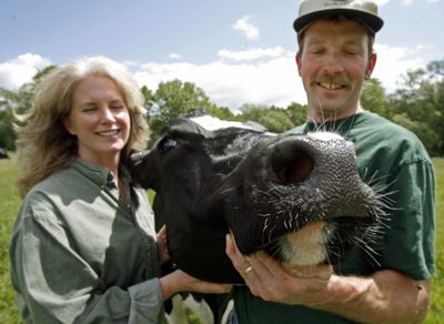 Kristen Dellert and Tim Maikshilo,  with one of their Holsteins in Coventry, Vt.  (Associated Press / The Spokesman-Review)