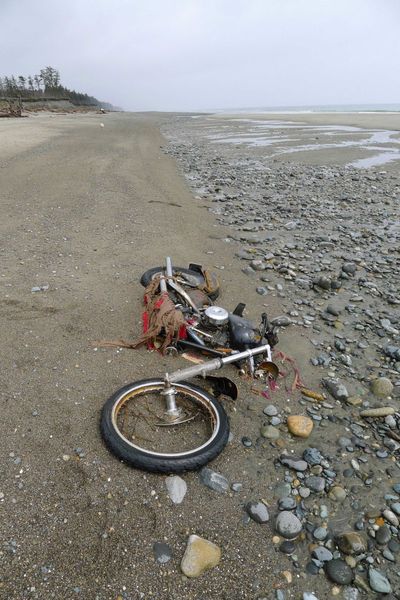 In this photo taken by Canadian Peter Mark in the end of April, a Harley-Davidson motorbike lies on a beach in Graham Island, western Canada. Japanese media say the motorcycle lost in last year's tsunami washed up on the island about 4,000 miles away. The rusted bike was originally found by Mark in a large white container where its owner, Ikuo Yokoyama, had kept it. The container was later washed away, leaving the motorbike half-buried in the sand. Yokoyama, who lost three members of his family in the March 11, 2011, tsunami, was located through the license plate number, Fuji TV reported Wednesday. (AP/Kyodo News, Peter Mark)