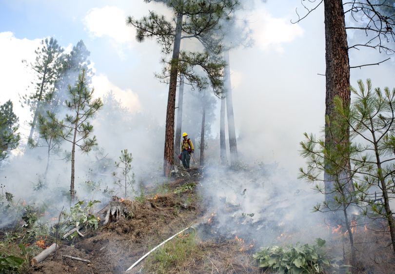 Firefighter Tom Carleton of Spokane Valley’s Ladder 10 walks through a charred hillside during a wildland fire training session Wednesday in Spokane Valley. (Tyler Tjomsland)