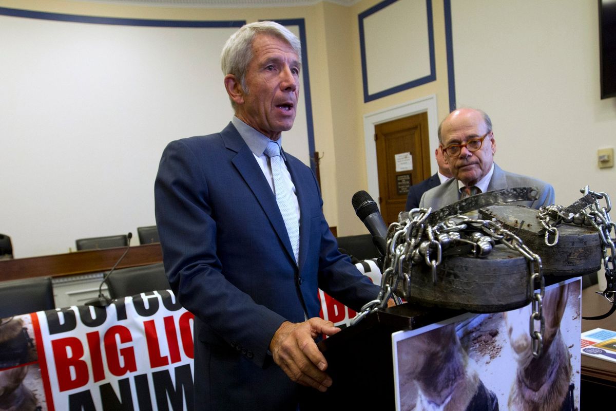 FILE - Rep. Kurt Schrader, D-Ore., speaks during a news conference in Washington, on July 24, 2019. Schrader is a candidate in the Tuesday, May 17, 2022, 5th District Democratic U.S. House primary election in Oregon.  (Jose Luis Magana)