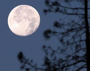 Full moon. (Associated Press)