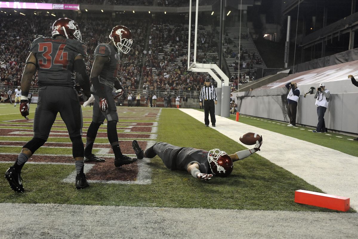 Washington State receiver Vince Mayle celebrates his first-half touchdown reception. (Tyler Tjomsland)