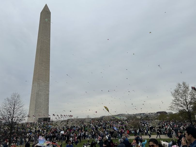 Set against the Washington Monument, hundreds of kites participate in the Blossom Kite Festival. (Dan Webster)