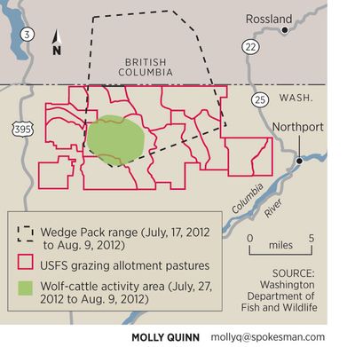 Map shows the range of the Wedge Pack in the first six weeks after the pack's alpha male was trapped, collared, released and monitored by radio telemetry. While the pack ranges well into Canada, Washington Fish and Wildlife officials have associated the wolves with attacks on cattle in grazing alotments in the 