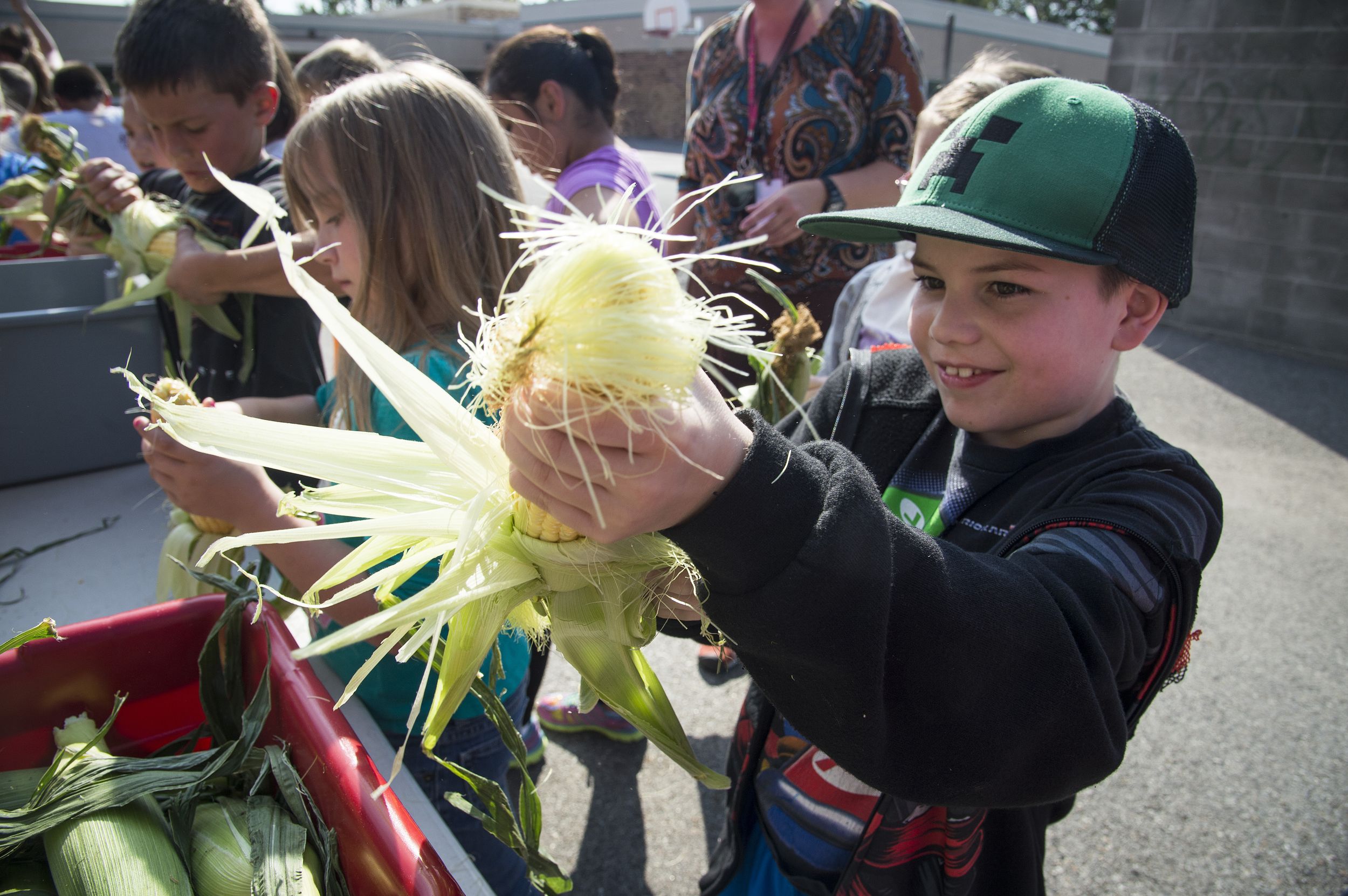 Cornshucking kids learn fresh, local lesson The SpokesmanReview