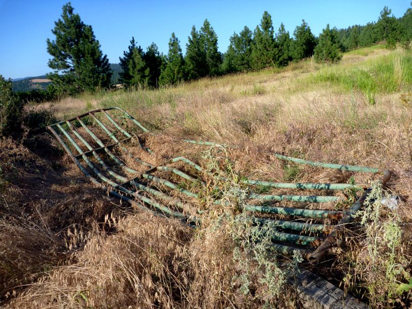 Off-highway vehicles are causing damage in the Antoine Peak Conservation Area, where unauthorized motor vehicle use is prohibited by Spokane County. Motorists broke down and drove over this gate at the Robbins Road access to the 1,100-acre area secured by the Spokane County Conservation Futures Program. (Rich Landers)